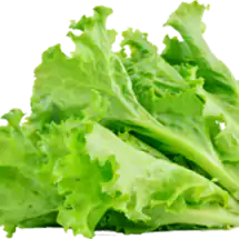 Isberg salat